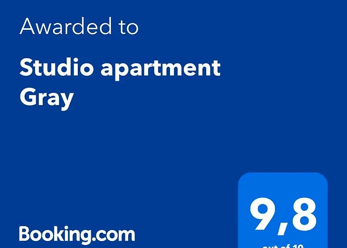 Studio Apartment Gray